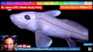 Dr Jaws LIVE 91TREAT GHOST SHARK HALLOWEEN Study Party [upl. by Adnuhsat473]