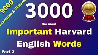 3000 Essential English Words with Pictures amp Sentences the most common used English vocabulary 24 [upl. by Vezza]