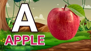 A For Apple B For Bal C For Cat  Abcd Cartoon  Abcd Song  Abcd Rhymes One Two ThreePhonics Song [upl. by Alida335]