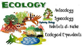 principles of ecology hierarchy habitatsampniche ecology Equivalents Autecology and Synecology [upl. by Adiazteb208]