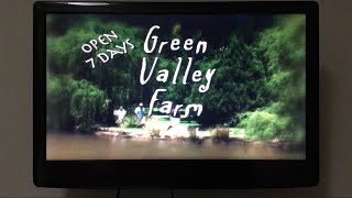 Green Valley Farm Tingha NSW  quotBring Mum amp Dadquot On TV [upl. by Waldon]