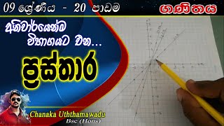 maths  Grade 9  lesson 20  ප්‍රස්තාර  sinhala medium [upl. by Tunnell351]