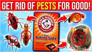 9 Baking Soda Hacks To Get Rid Of Pests From Your Home NATURALLY Mice Cockroaches Fleas Ants [upl. by Teddi504]