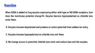 quotWhen GABA is added to frog oocytes expressing either wildtype or Rdl GABA receptors [upl. by Akcir]