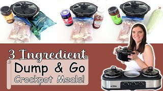 Dump amp Go 3 Ingredient Crock Pot Recipes  Dessert [upl. by Fridlund39]