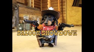 Crusoe the Cowboy Dachshund Saloon Showdown [upl. by Lenzi]