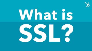 What Is SSL Explained [upl. by Templeton982]