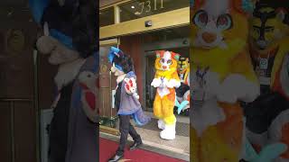 Howloween 2024 Fursuit Parade fursuitfriday [upl. by Eylk]