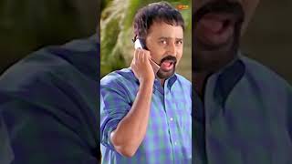 Hello This is Naayar😅 Panchathanthiram  kamal Haasan  Simran  Telugu Comedy scene [upl. by Avahc]