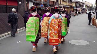 Geisha Walk through the Gion Hanamikoji of Kyoto  Japan Travel Vlog [upl. by Nylessej434]