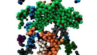 Percolation of Pickering Emulsions [upl. by Eelsew891]