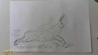 Cómo dibujar una LIEBRE  How to draw a HARE [upl. by Eirroc]