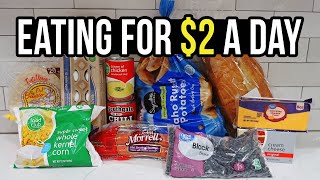 Eating for 2 a Day Cheap and Healthy Meal Ideas You Need to Try [upl. by Adniroc]