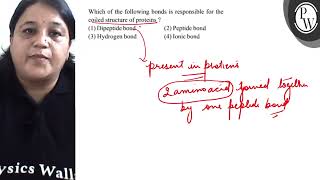 Which of the following bonds is responsible for the coiled structure of proteins  1 Dipeptide [upl. by Theurich]