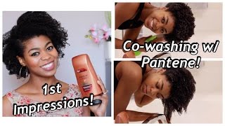 1st Impressions amp CowashDetangle Demo  Pantene Cowash Cleansing Conditioner  4C Natural Hair [upl. by Maryanna]