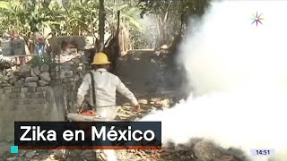 3 mil casos de Zika en México  Noticias con Karla Iberia [upl. by Peedsaj]