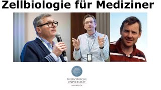 Vorlesung Zellbiologie für Mediziner Teil 7  Prof Teis übernimmt mit Organellen [upl. by Courtenay809]