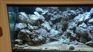 DIY LED Reef Aquarium Light  Part 1 [upl. by Fitting]