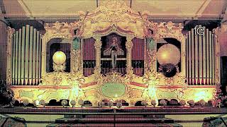 Fritz Wrede Fairground Organ quotDie Ehrenwache Marschquot [upl. by Trisha]