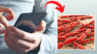 Deadly Phone Bacteria Exposed The Invisible Threat [upl. by Kaete]