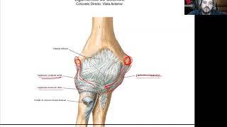Semiologia do Cotovelo [upl. by Catie1]