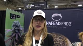 Dinafem Seeds REMO CHEMO Lift Expo 2017 [upl. by Jackelyn289]