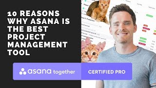 10 Reasons why Asana is the best project management tool [upl. by Fassold939]