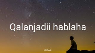 Ahmed Nani  Qalanjadii Hablaha Lyrics [upl. by Hasila]