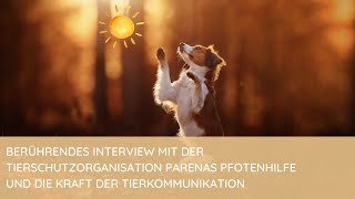 Tierkommunikation mit Strassentieren I Interview mit der Tierschutzorganisation Parenas Pfotenhilfe [upl. by Lubbi533]