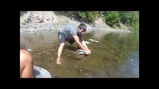 swimming in kinderhook creek [upl. by Stephen888]