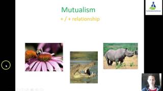 1L Ecological Relationships [upl. by Gregor]