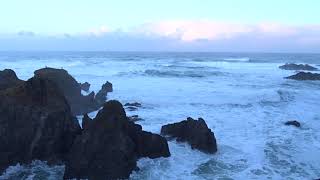 Surf Club First Light Zen Surf Report 452024 HD Geese on the Point [upl. by Devan]