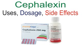 Cephalexin Cefalexin Uses Dose and Side Effects [upl. by Pallas599]