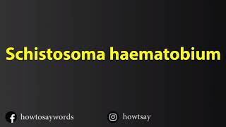 How To Pronounce Schistosoma haematobium [upl. by Wiese]