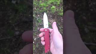 QSP Parrot Folding Knife [upl. by Odnumyer]