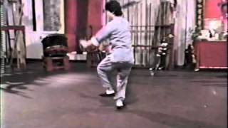 Choy Li Fut  Hung Sing Double Butterfly Knives  Grandmaster DocFai Wong [upl. by Whitford144]