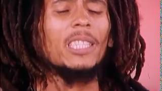 Bob Marley  Positive Vibration Live at TopPop TV Netherlands 1976 [upl. by Obed749]