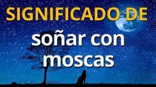 Qué significa soñar con moscas 💤 Interpretación de los Sueños [upl. by Moya]