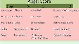 Apgar score [upl. by Odlavso570]