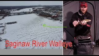 Saginaw River Walleye  Ice Fishing [upl. by Eelatan]