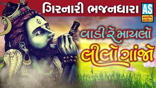 Vadi Re Maylo Lilo Ganjo  Mahadev Bhajan  Gujarati New Song 2019  Ashok Sound Bhajan [upl. by Luann]