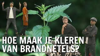 Hoe maak je kleren van brandnetels  De Buitendienst over Brandnetels [upl. by Aivil]