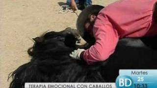 Terapia emocional con caballos [upl. by Anitak]