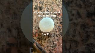 proving cheese can hit 150 subscribers ￼ [upl. by Ennaoj]