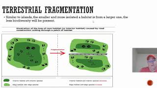 Island Biogeography and Fragmentation [upl. by Tedric]