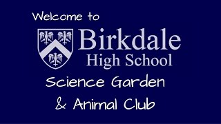 Welcome to Birkdale High School Animal Club [upl. by Anitsrhc]