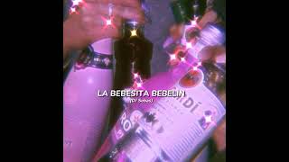 DJ Sebas  La Bebesita Bebelin speed up song [upl. by Hyatt]