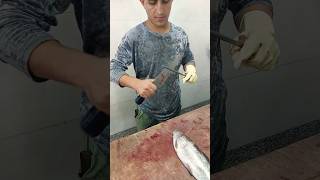 How to fillet a trout for beginners fishcutting [upl. by Raama]