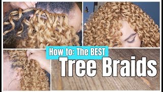 How to do Tree Braids  Revealing NEVER BEFORE SEEN SECRETS 2019  Yayas Technique [upl. by Collins]