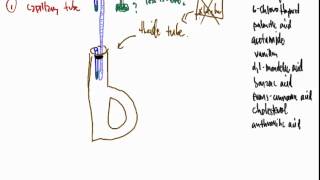 CTC 114 Melting Point Analysis via Thiele Tube Laboratory Video Part 1 [upl. by Hgielrac]